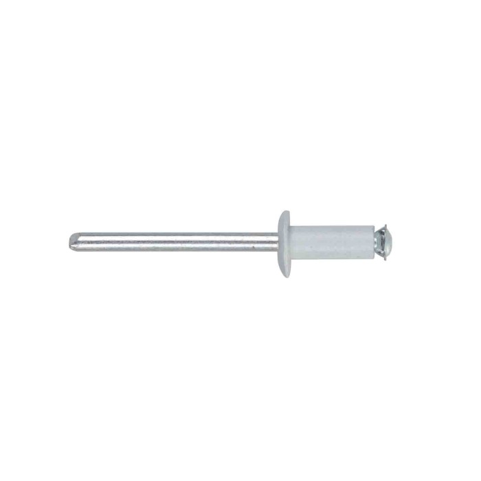59583-S-03.JPG Aluminium Rivets Set 50 Rivetti Graf Per Portatarga Bianco Utensili Utensili