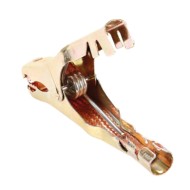 69896-S-01.JPG Heavy Duty Pinze Batteria 19 Cm 700a Pinze Batteria Accessori Per Batteria