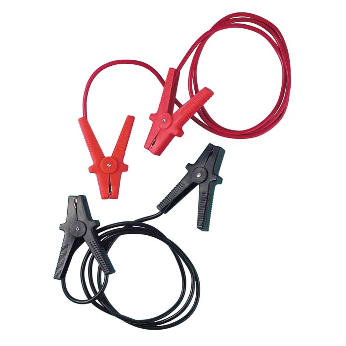 70115-C-01.JPG Cavi Batteria Standard 250 Cm 100 A 5 8 Mm² Cavi Batteria Accessori Per Batteria