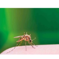 74094-A-01.JPG Penna Lenitiva Contro Le Punture Di Insetti 16 Ml Antizanzare