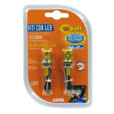 90172-S-01.JPG Set 2 Viti Con Led A Luce Bianca Oro Luci Decorative