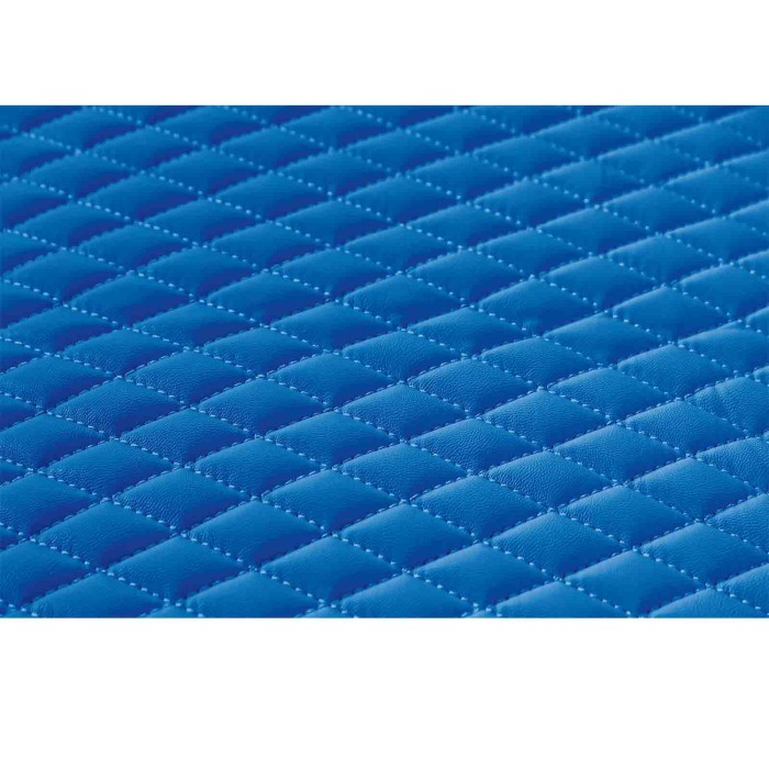 96098-S-04.JPG Coppia Tappeti In Skeentex Blu Daf Xf 105 Coppia Tappeti Su Misura In Skeentex Tappeti Su Misura In Skeentex