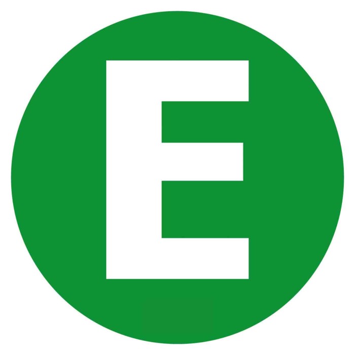 98454-D-01.JPG Contrassegno Adesivo E Veicolo Ecologico Contrassegni Targhe E Contrassegni