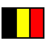 Spell It Led Emblema 24v Belgio Spell It Led Decorazioni Luminose