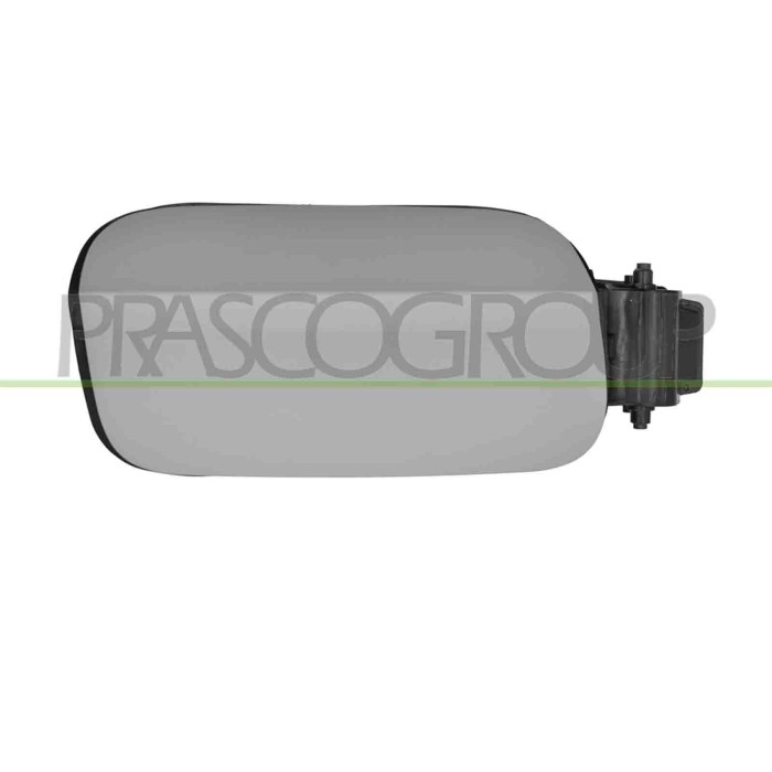 NEUTRO.jpg Sportello Serbatoio Audi A6 (C8) Dal 2019 4K0809907Bgru