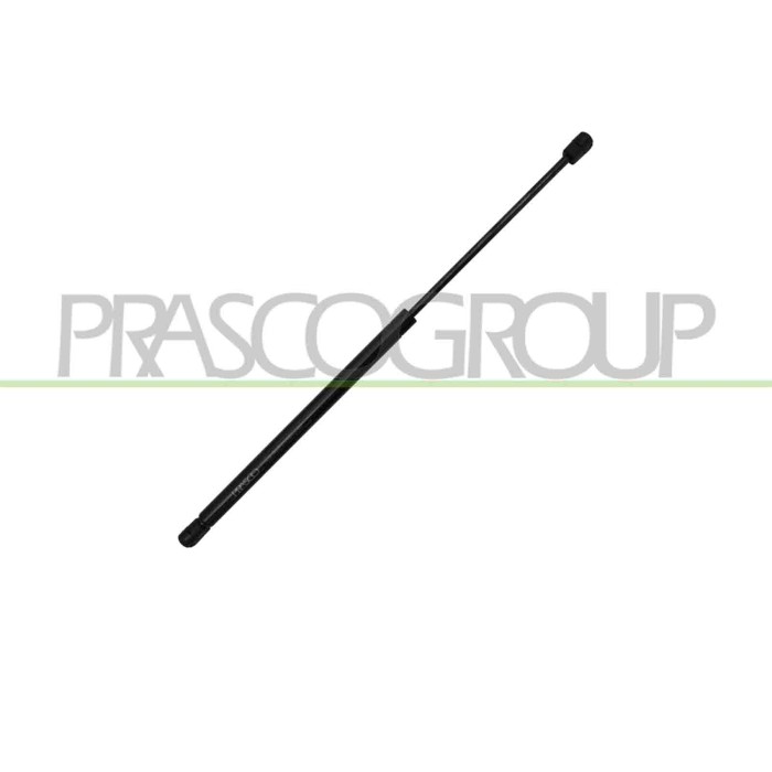 NEUTRO.jpg Molla A Gas Destra/Sinistra Portellone Posteriore Audi A3 3/5 Porte (8P/8Pa) Dal 2003 Al 2008 8P4827552C