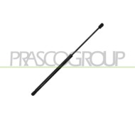 Molla A Gas Destra/Sinistra Portellone Posteriore Audi A3 3/5 Porte (8P/8Pa) Dal 2003 Al 2008 8P4827552C