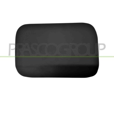 NEUTRO.jpg Sportello Serbatoio Con Primer Bmw 5 Series F10/F11 Dal 2010 Al 2013 41007204341