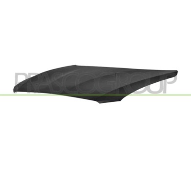 NEUTRO.jpg Cofano Bmw 1 Series F20/F21 Dal 2011 Al 2015 41007290942