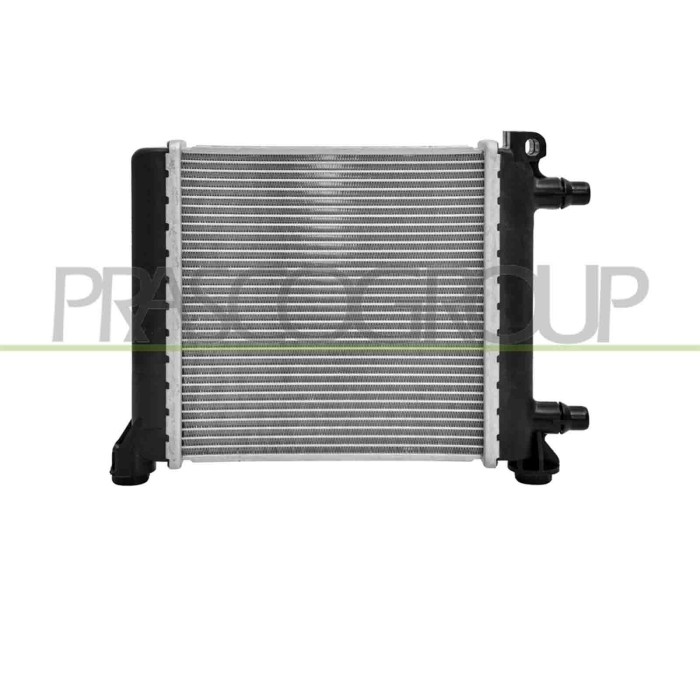 NEUTRO.jpg Radiatore Bmw 1 Series F40 Dal 2019 17117634565