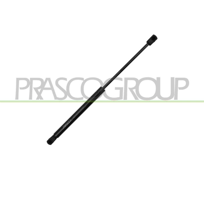 NEUTRO.jpg Molla A Gas Destra/Sinistra Cofano Bmw X5 E70 Dal 2007 Al 2010 51237148346