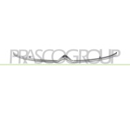 Modanatura Griglia Radiatore Superiore Cromata Citroen C3 Dal 2020 Al 2024 9833503580