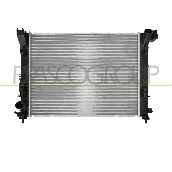 NEUTRO.jpg Radiatore Dacia Sandero Dal 2020 214105Fa0A