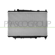 Radiatore Ford Fiesta Mk Vi Dal 2013 Al 2017 1794481