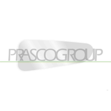 DX_SCRITTA_LOGO.jpg Piastra Specchio Destra Inferiore Convessa Ford Transit/Tourneo Custom (Ttf) Dal 2013 Al 2018 1766581