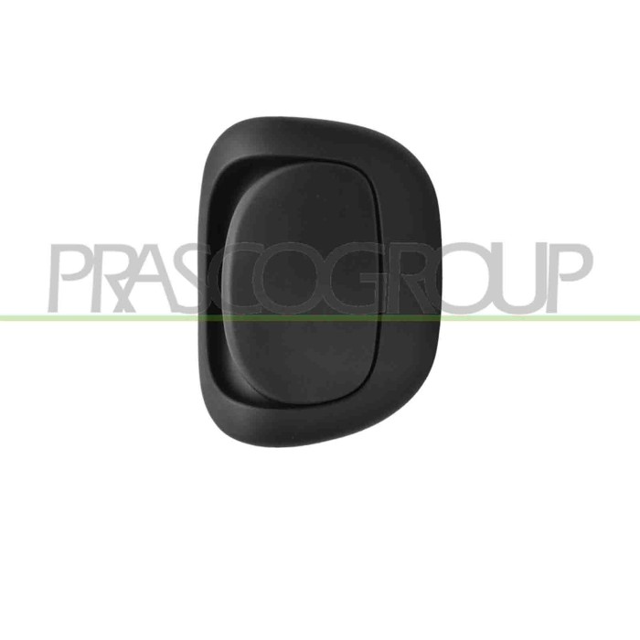 DX_SCRITTA_LOGO.jpg Maniglia Sedile Anteriore Destro Fiat 500 Dal 2007 Al 2015 71769001