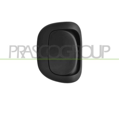 SX_SCRITTA_LOGO.jpg Maniglia Sedile Anteriore Sinistro Fiat 500 Dal 2007 Al 2015 71769003