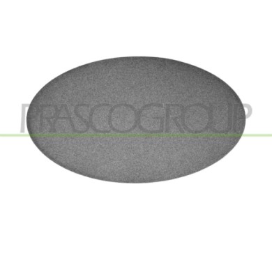 SX_SCRITTA_LOGO.jpg Tappo Luce Diurna Anteriore Sinistra Fiat 500 Ev (332) Dal 2020 735732362