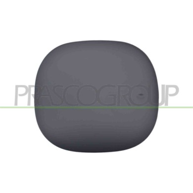 NEUTRO.jpg Sportello Serbatoio Con Primer Fiat 500X Dal 2015 Al 2018 51961316
