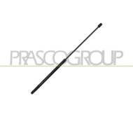 Molla A Gas Destra/Sinistra Portellone Posteriore Fiat Croma Dal 2005 Al 2007 51734960