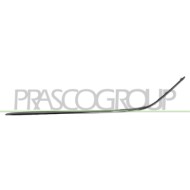 SX_SCRITTA_LOGO.jpg Profilo Sinistro Paraurti Anteriore Cromato Mercedes C Class (W203) Dal 2004 Al 2007 2038850774