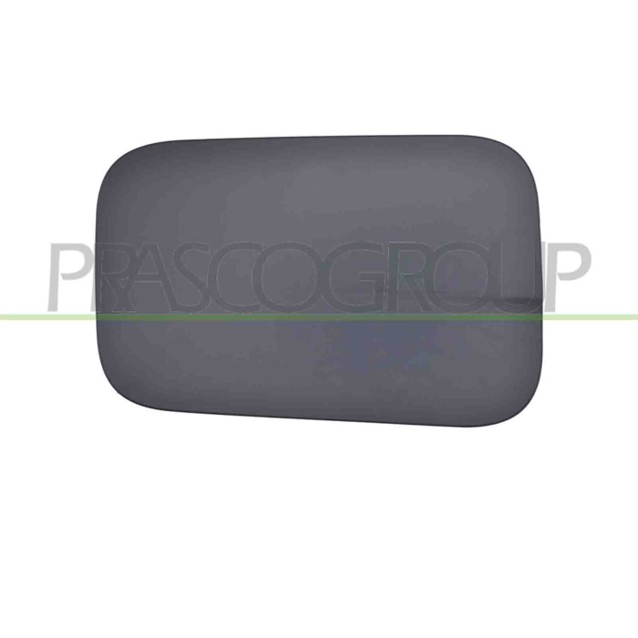 NEUTRO.jpg Sportello Serbatoio Con Primer Mercedes E Class (W212/S212) Dal 2009 Al 2013 A2127570006