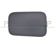 Sportello Serbatoio Con Primer Mercedes E Class (W212/S212) Dal 2009 Al 2013 A2127570006