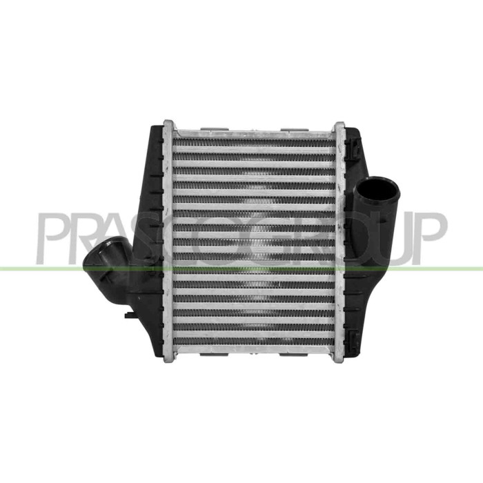 NEUTRO.jpg Intercooler Smart Fortwo Dal 2007 Al 2012 4515010401