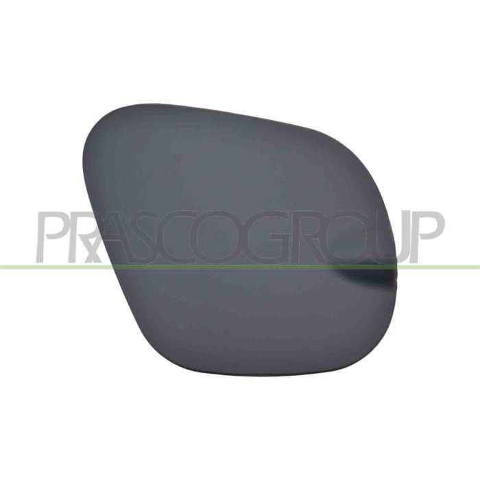 NEUTRO.jpg Sportello Serbatoio Con Primer Smart Fortwo Dal 2014 Al 2019 A4537540000