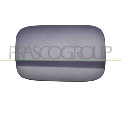 NEUTRO.jpg Sportello Serbatoio Con Primer Mercedes C Class (W204/S204) Dal 2010 Al 2011 A2047540009