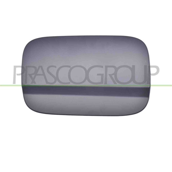 NEUTRO.jpg Sportello Serbatoio Con Primer Mercedes C Class (W204/S204) Dal 2010 Al 2011 A2047540009