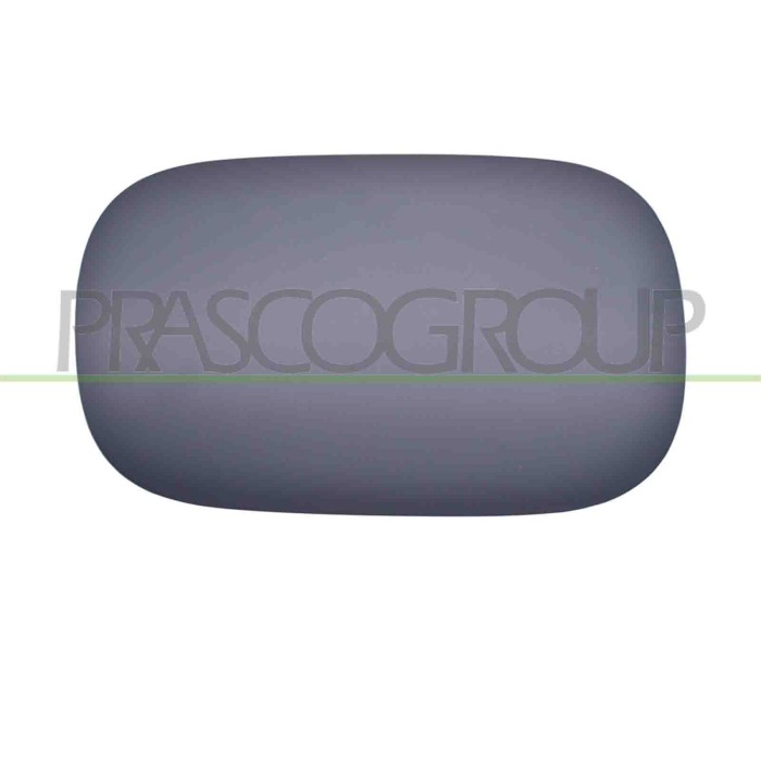 NEUTRO.jpg Sportello Serbatoio Con Primer Mercedes C Class (W206/S206) Dal 2021 A2067571700