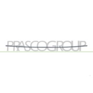 Modanatura Paraurti Anteriore Centrale Cromata Mercedes C Class Amg/Amg Line (W206/S206) Dal 2021 A2068855702