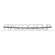 NEUTRO.jpg Modanatura Paraurti Anteriore Centrale Nera Lucida Mercedes C Class Amg/Amg Line (W206/S206) Dal 2021 A2068855802