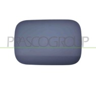 Sportello Serbatoio Con Primer Mercedes S Class (W221) Dal 2005 Al 2009 A2217570006