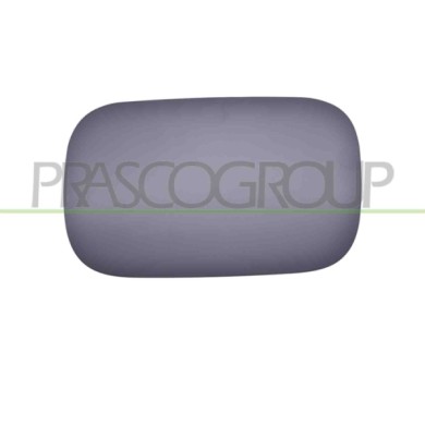 NEUTRO.jpg Sportello Serbatoio Con Primer Mercedes S Class (W222) Dal 2013 Al 2017 A2227570006