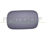 Sportello Serbatoio Con Primer Mercedes S Class (W222) Dal 2013 Al 2017 A2227570006