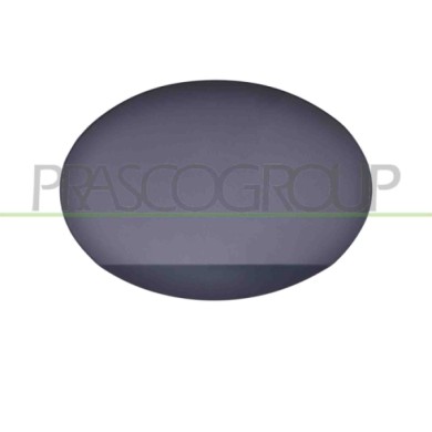 NEUTRO.jpg Sportello Serbatoio Con Primer Mercedes R Class (W251) Dal 2005 Al 2010 A2517570206