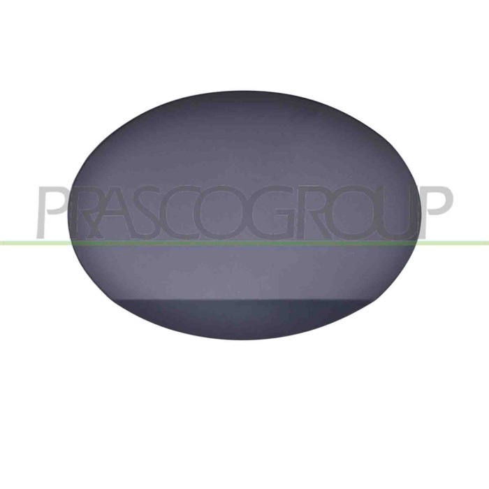 NEUTRO.jpg Sportello Serbatoio Con Primer Mercedes R Class (W251) Dal 2005 Al 2010 A2517570206