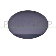 Sportello Serbatoio Con Primer Mercedes R Class (W251) Dal 2005 Al 2010 A2517570206