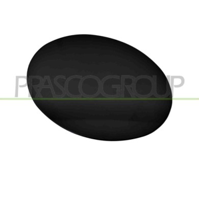 NEUTRO.jpg Sportello Serbatoio Mercedes Ml Class (W164) Dal 2006 Al 2007 A1647570006