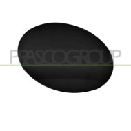 Sportello Serbatoio Mercedes Ml Class (W164) Dal 2006 Al 2007 A1647570006