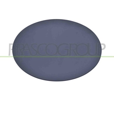 NEUTRO.jpg Sportello Serbatoio Con Primer Mercedes Gl Class (X164) Dal 2006 Al 2009 A1647570106