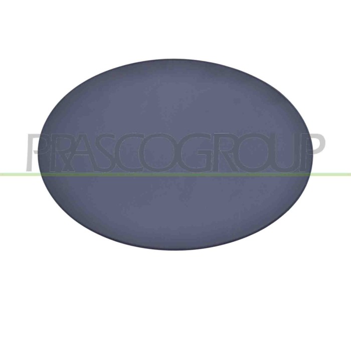 NEUTRO.jpg Sportello Serbatoio Con Primer Mercedes Gl Class (X164) Dal 2006 Al 2009 A1647570106
