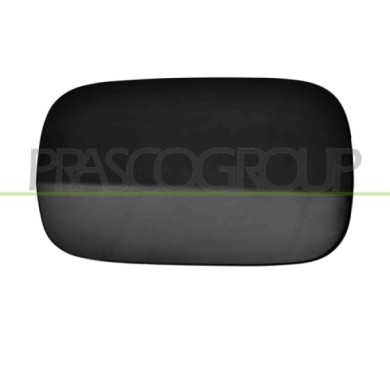 NEUTRO.jpg Sportello Serbatoio Mercedes Gl Class (X166) Dal 2012 Al 2015 A1667570106