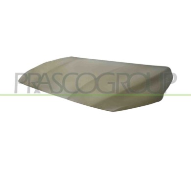 NEUTRO.jpg Cofano Mg Hs Dal 2018 Al 2022 10367101Spcp