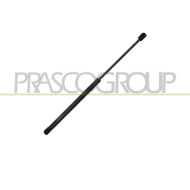Molla A Gas Destra/Sinistra Portellone Posteriore Mini (Bmw) R56/R57 Dal 2006 Al 2010 51247148902