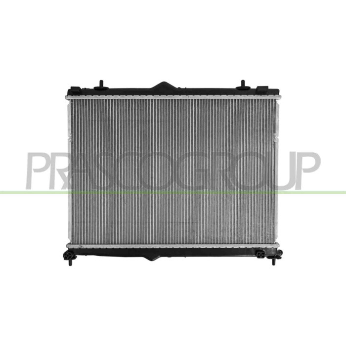 NEUTRO.jpg Radiatore Citroen Ds3 Dal 2016 1663937880