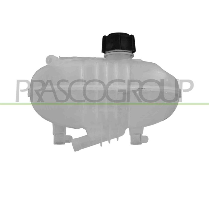 NEUTRO.jpg Vaschetta Acqua A Espansione Con Tappo Renault Trafic (X82) Dal 2014 Al 2019 217106703R