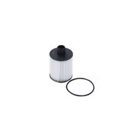 FL0264.JPG Filtro Olio Opel Zafira Tourer C (p12) Fl0264 650017 Cartuccia Filtro Bremsi
